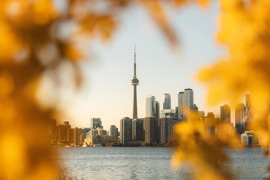 Toronto Skyline through yellow fall maple leaves